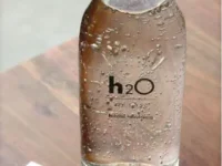 best water filters in the United States