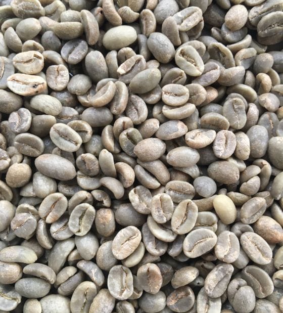 unroasted colombian green coffee