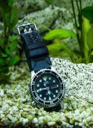 citizen diver watch