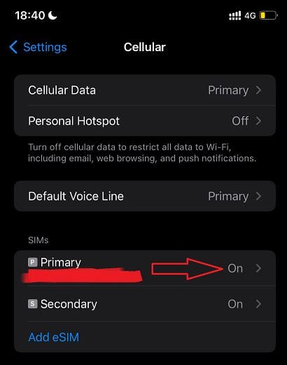 esim primary voice call