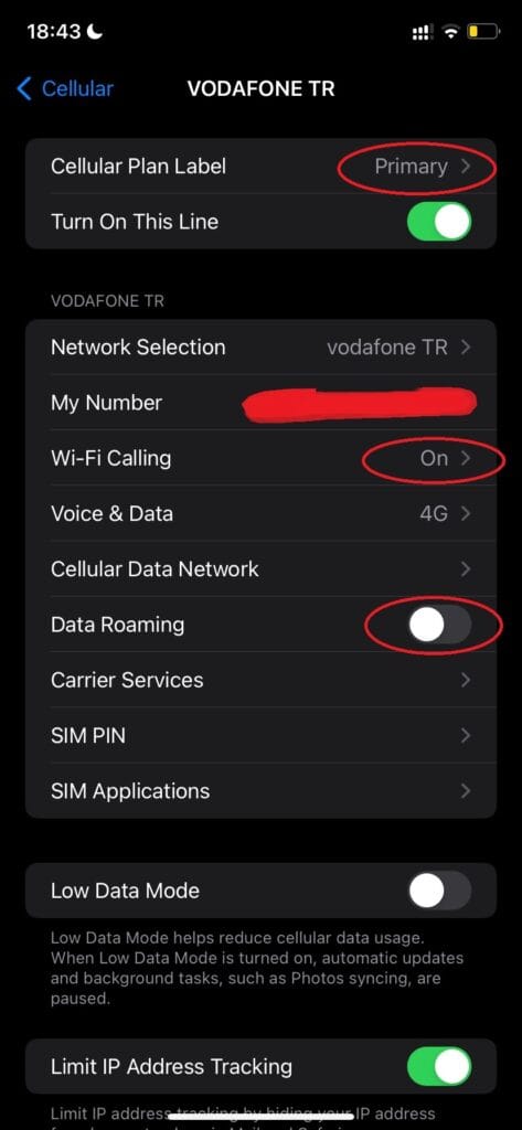esim primary voice call3