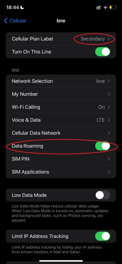 esim primary voice call4