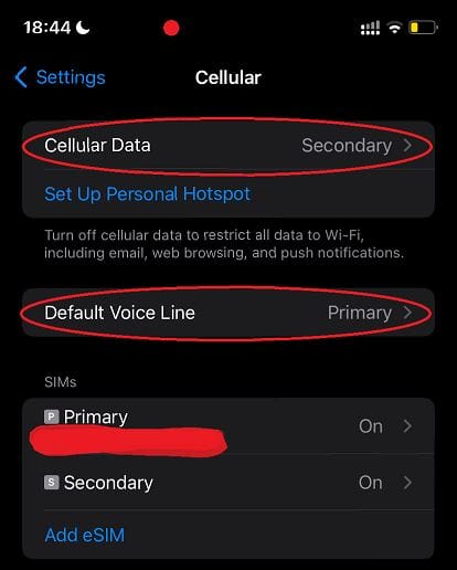 esim primary voice call