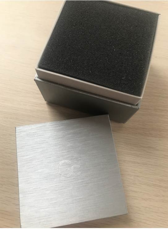 gc - guess collection wathces case